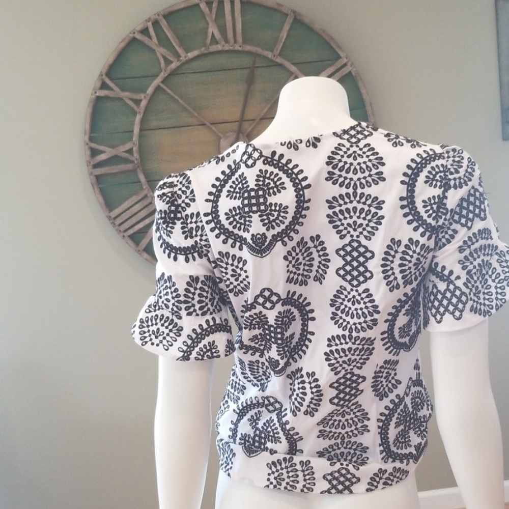 Zara Embroidered Ruffle Sleeve Top - Picture 4 of 11